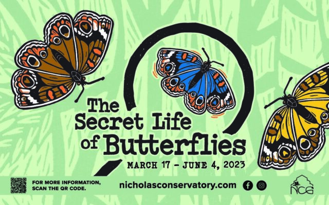Check out Joe Cicero at the Secret Life of Butterflies exhibit @ Nicholas Conservatory